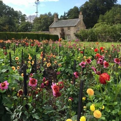 kok下载-登录入口