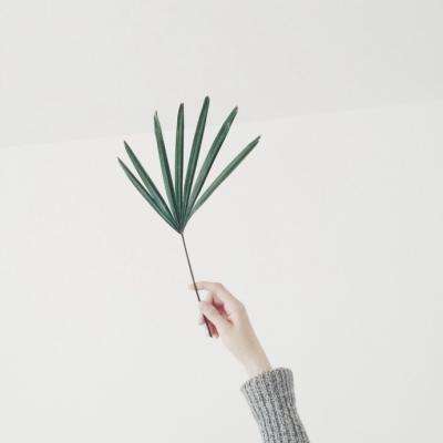 域网棋牌游戏下载手机版